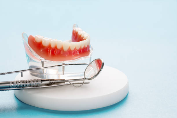 Best Dental Exams and Cleanings  in Centreville, MI